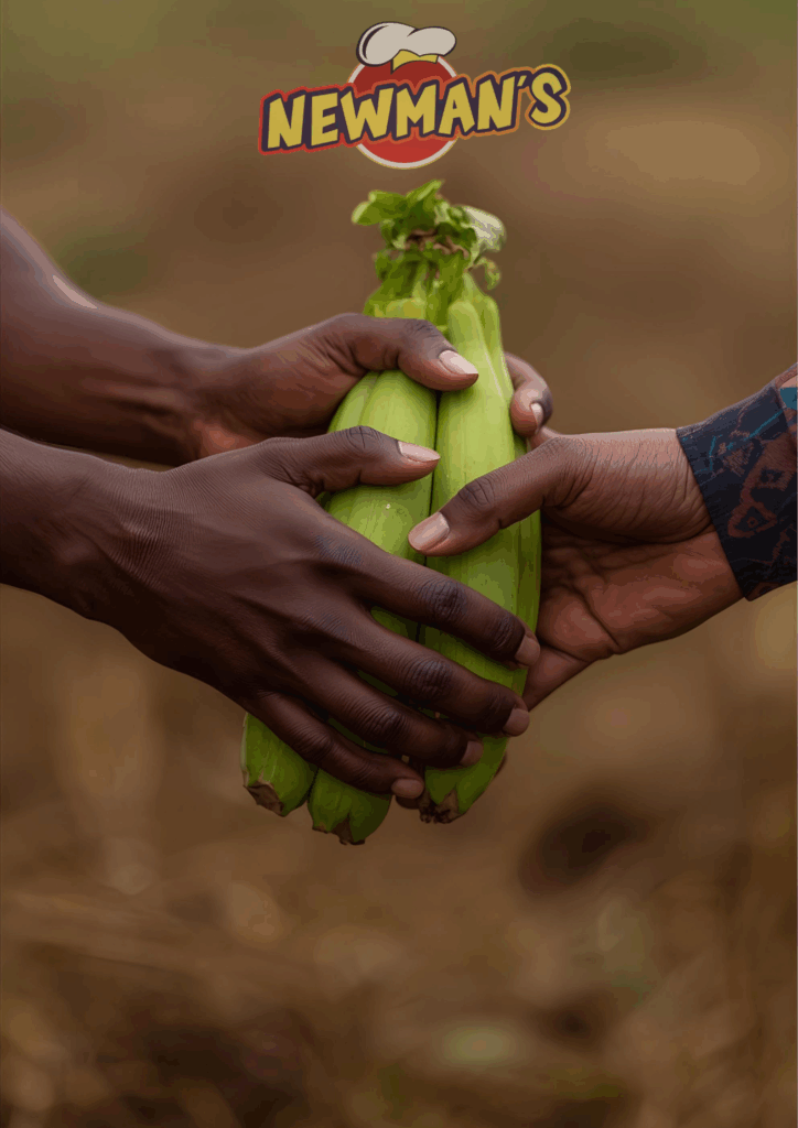 Close-up of two pairs of hands—a Newman's representative and a Ugandan outgrower—jointly holding fresh green plantains, symbolizing partnership, integrity, and quality.